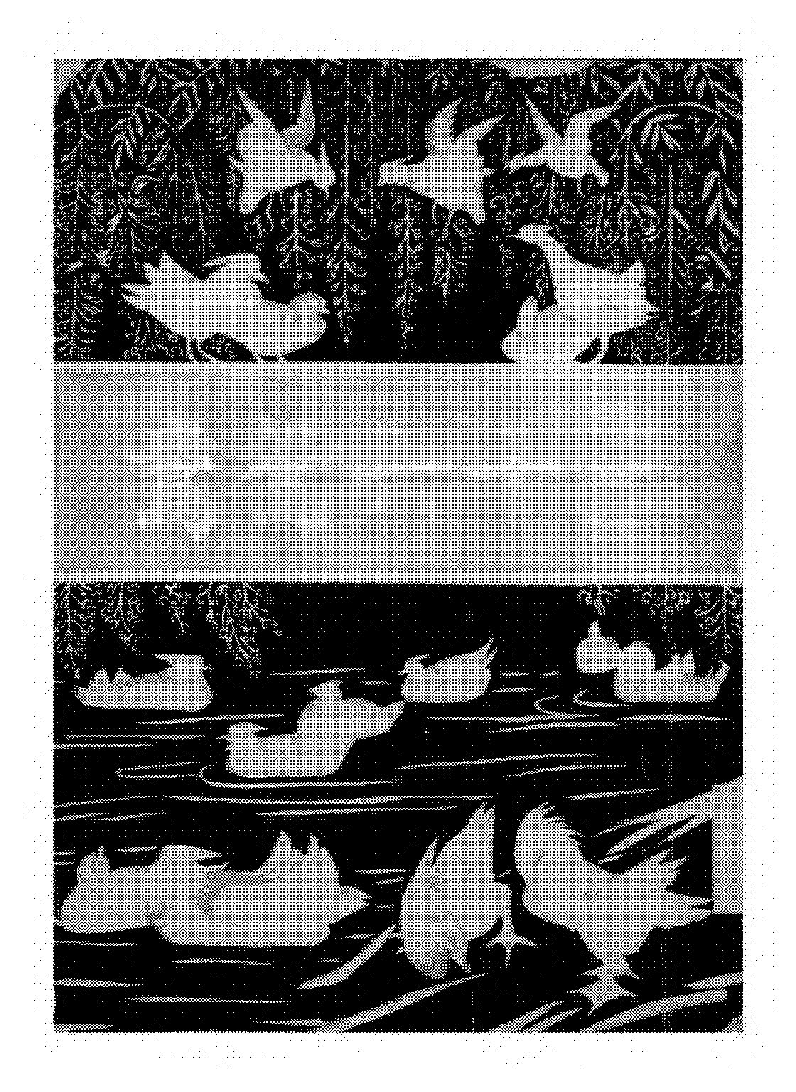 三十六鸳鸯喋喋PDF下载插图